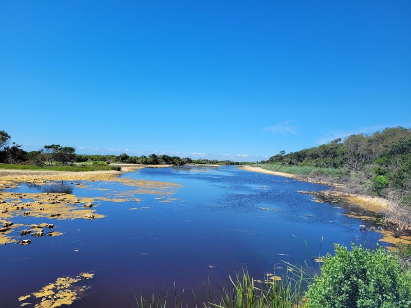 Why This Park Deserves a Spot on Every South Carolinian's Bucket List
