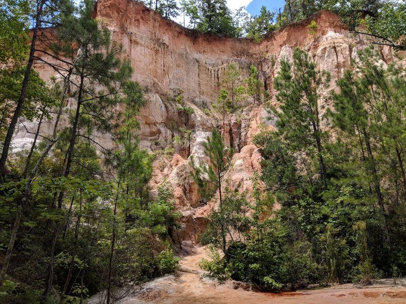 Why This Park Earns Its Nickname, Georgia's Little Grand Canyon