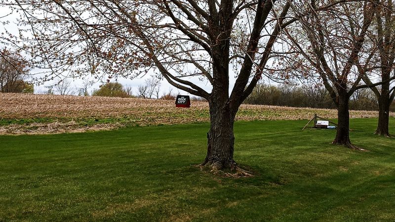 Wide Open Green Spaces to Breathe Easy