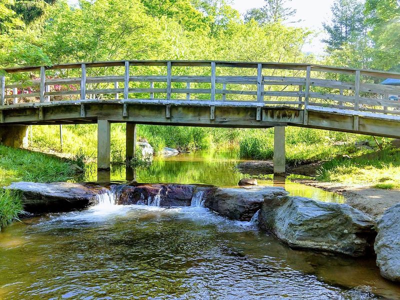 Wildcat Lake: Small-Town Waterfront Charm
