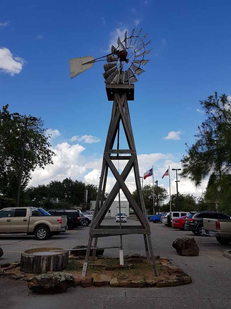 Wildflower Season: When the Roads Around Cuero Burst Into Color