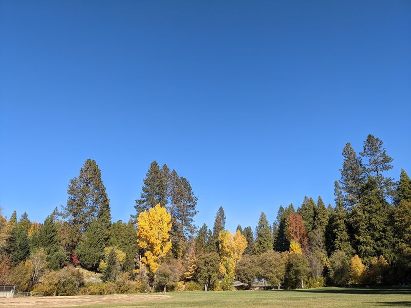 Wildflower Trails and Sierra Foothills Scenery