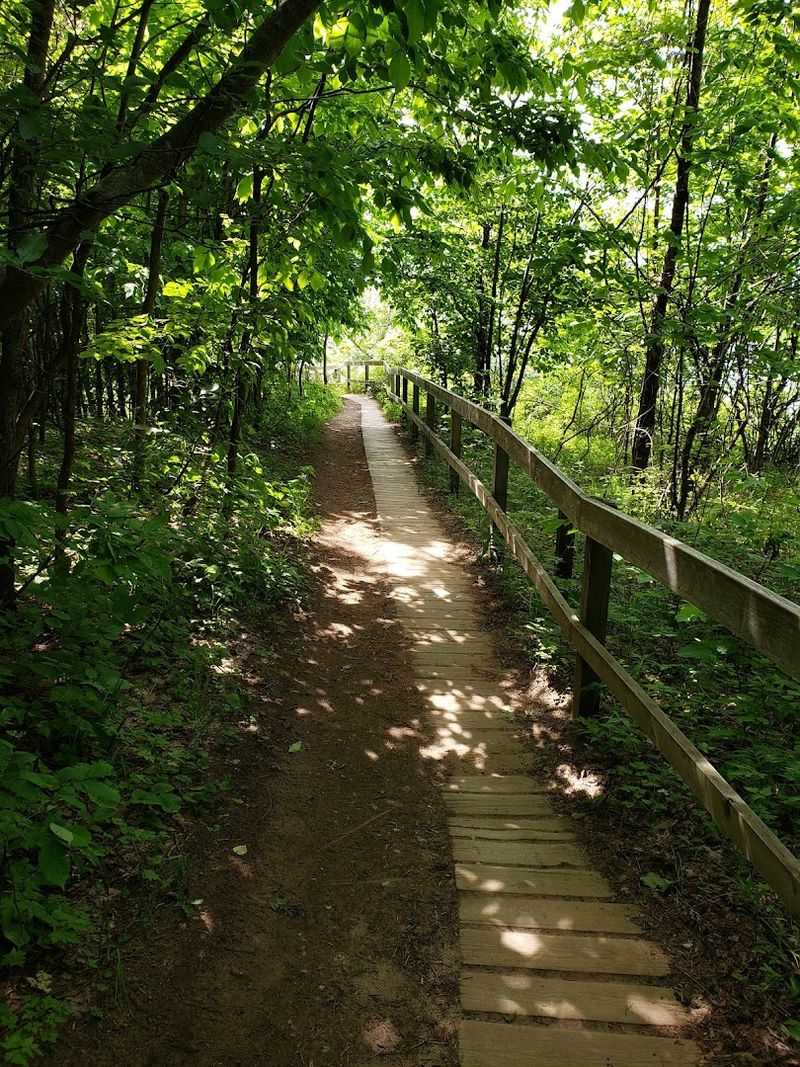 Wildflowers and Natural Beauty Along the Path