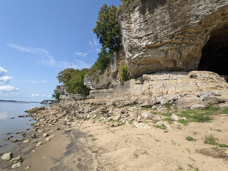 Wildlife Along The Riverbank