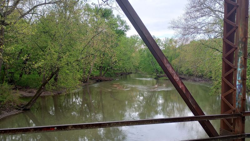 Wildlife Around the Bridge Will Catch You Off Guard