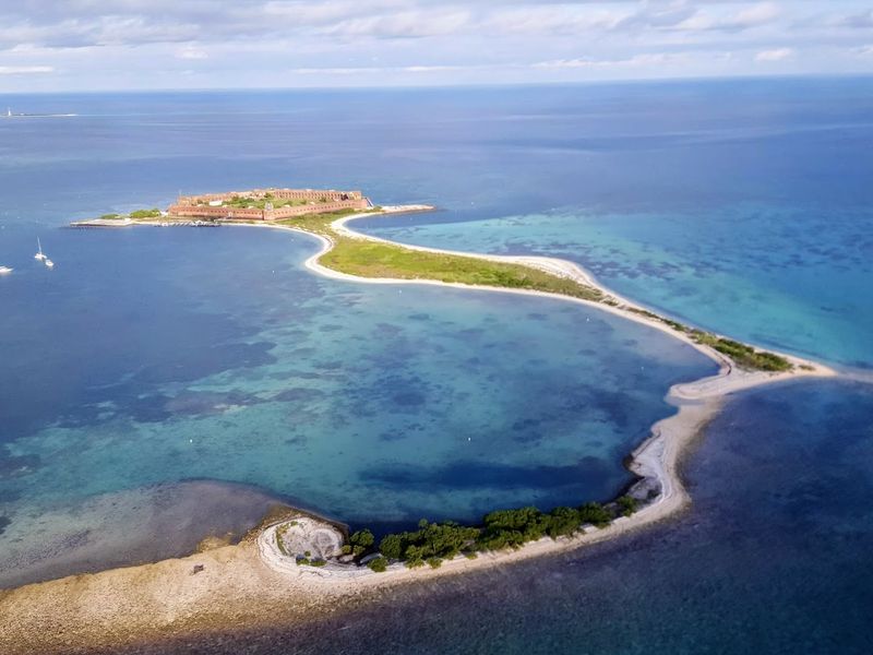 Wildlife Beyond the Water: What Roams the Islands