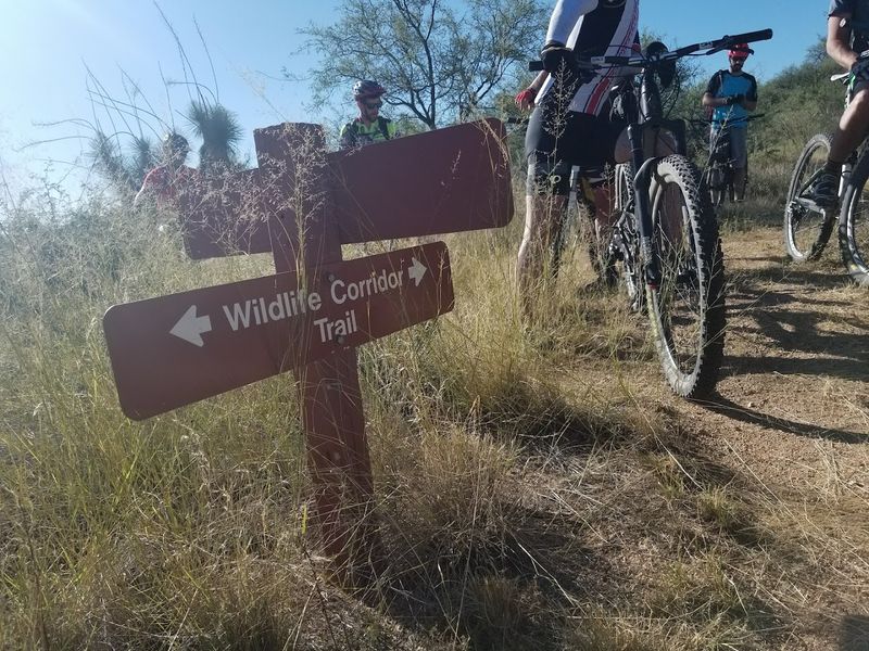 Wildlife Corridor Trail Where Nature Truly Comes Alive