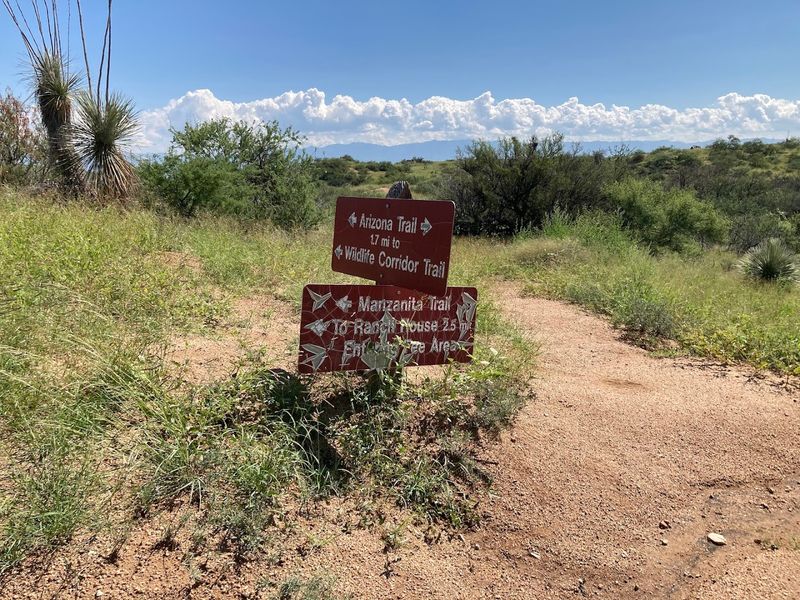 Wildlife Corridor Trail — Where Gray Foxes and White-Tailed Deer Roam Freely