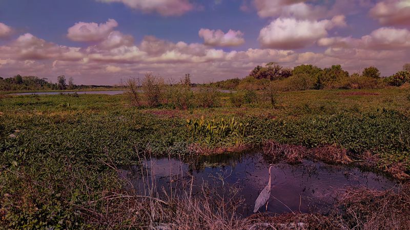 Wildlife Diversity That Rivals Any Nature Documentary Wildlife Diversity That Rivals Any Nature Documentary