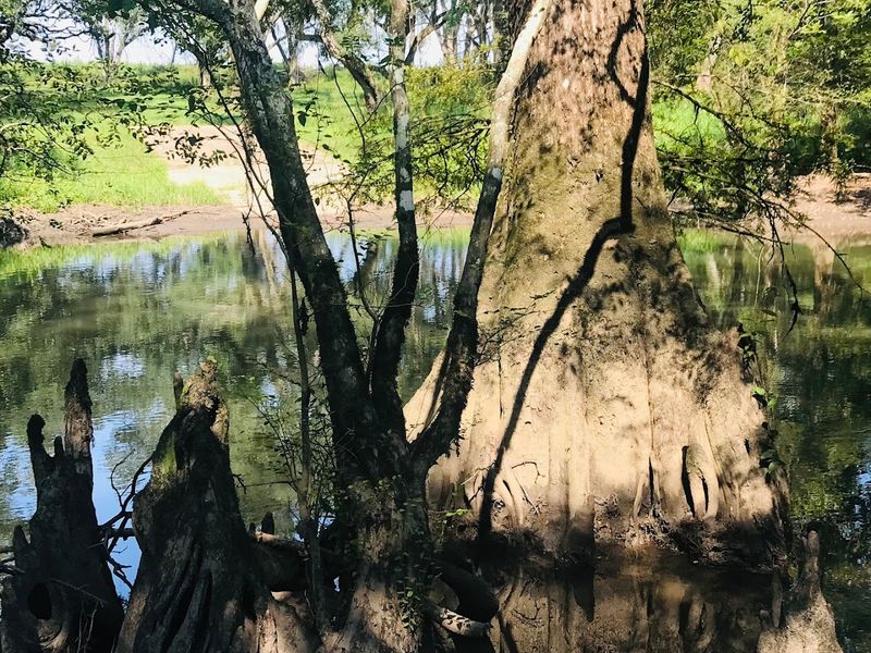 Wildlife Encounters Along the Trail