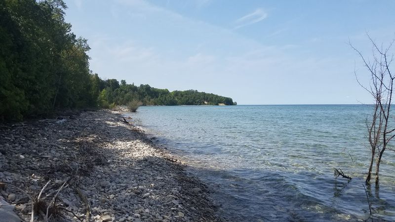 Wildlife Encounters Along the Trail