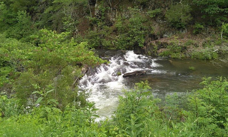 Wildlife Encounters Around Every Bend in the Trail