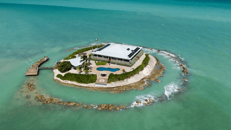 Wildlife Encounters: Dolphins, Sharks, and Stingrays