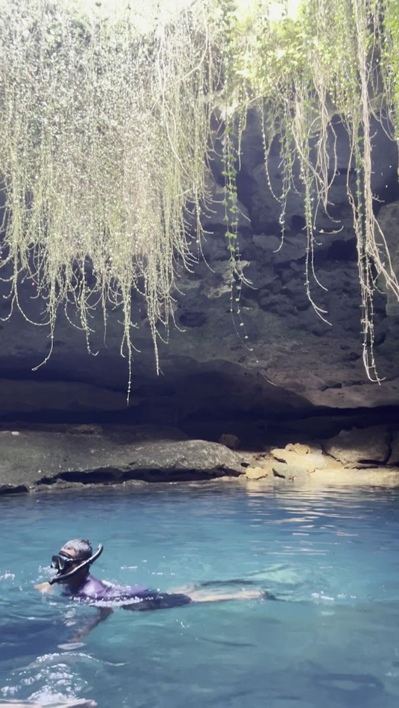 Wildlife Encounters Inside the Den — Fish, Turtles, and More