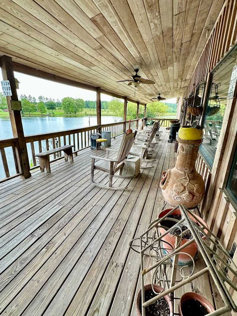 Wildlife Encounters Right at the Water's Edge