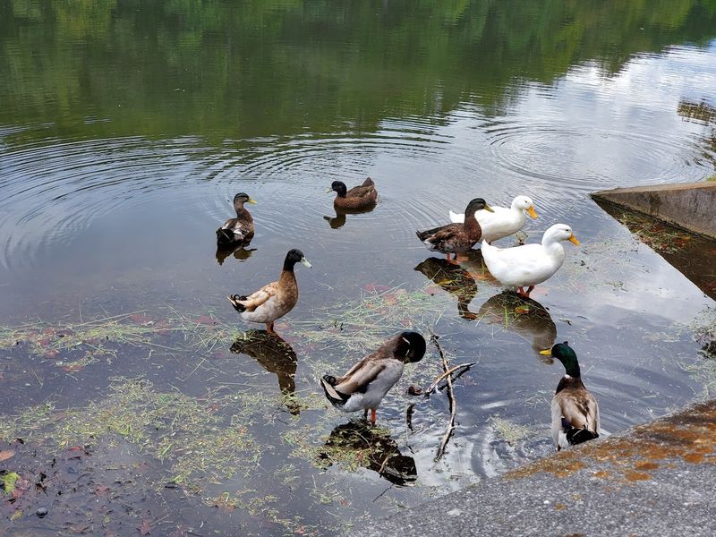 Wildlife Encounters That Make Every Visit Feel New