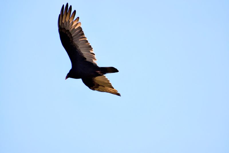 Wildlife Encounters That Will Leave You Speechless Wildlife Encounters That Will Leave You Speechless