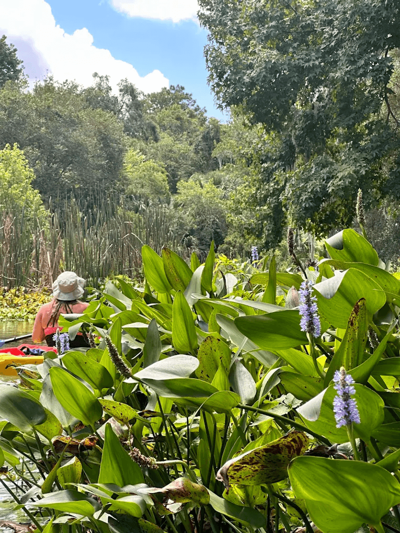 Wildlife Encounters That Will Surprise You
