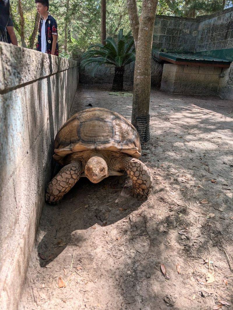 Wildlife Encounters You Simply Cannot Plan For