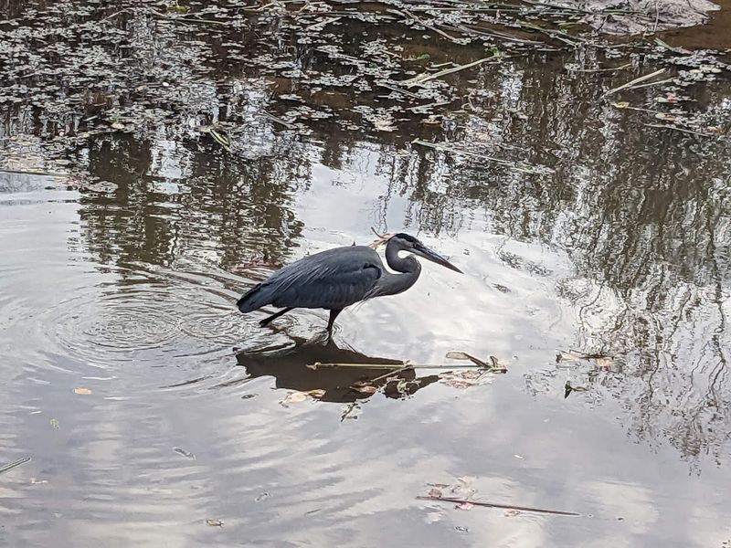 Wildlife Encounters You Will Not Forget Wildlife Encounters You Will Not Forget