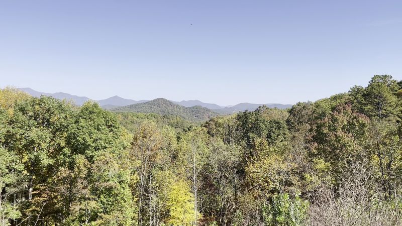 Wildlife Observation Tower for Nature Lovers