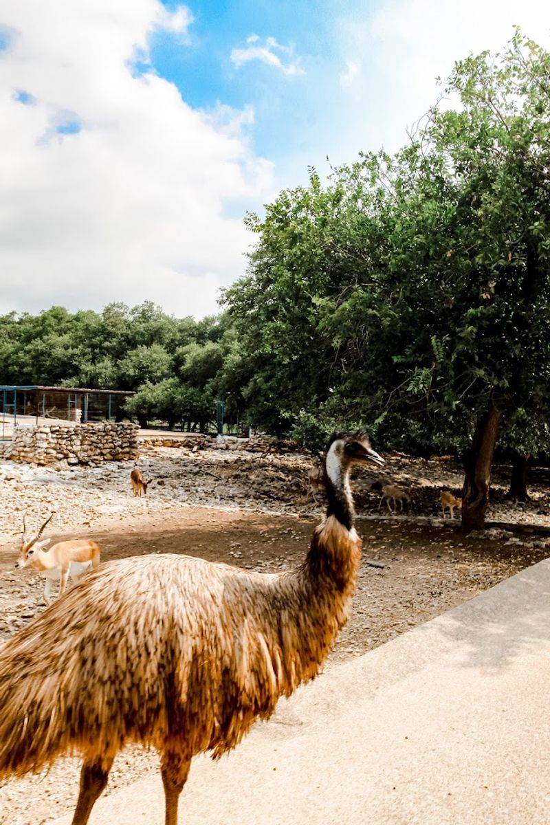 Wildlife Petting Park with Animals You Will Never Forget Wildlife Petting Park with Animals You Will Never Forget
