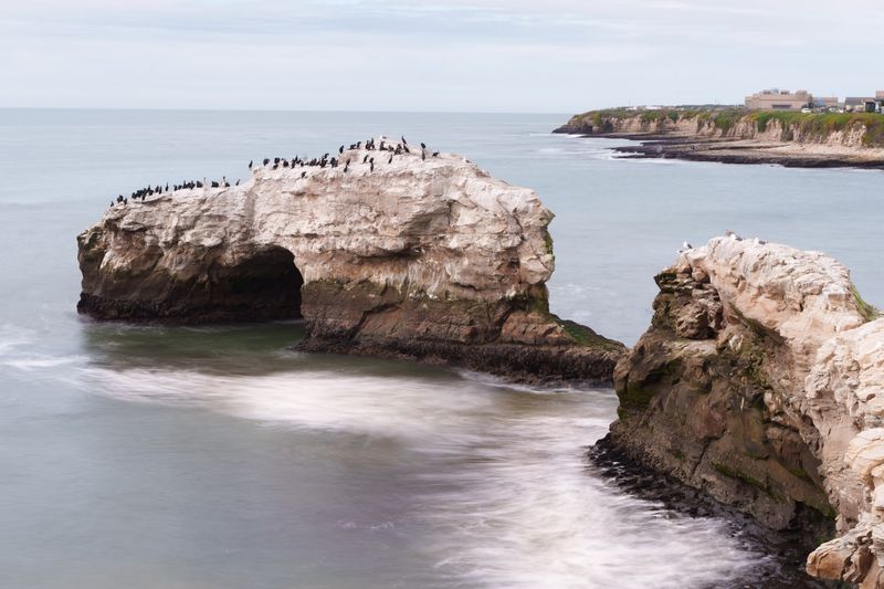 Wildlife Watching Along the Shore