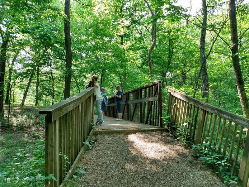 Wildlife Watching: Nature Puts on a Show Here