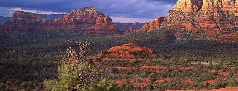 Wildlife Watching Opportunities Along AZ-179