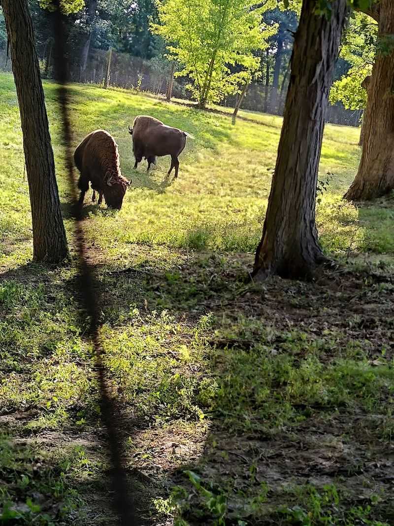 Wildlife Watching That Will Genuinely Surprise You
