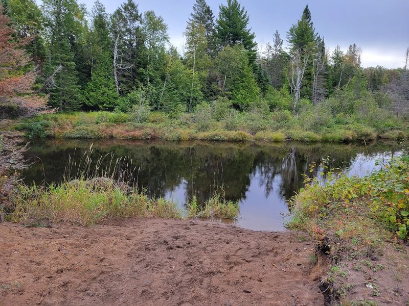Wildlife Watching in a Remote Setting