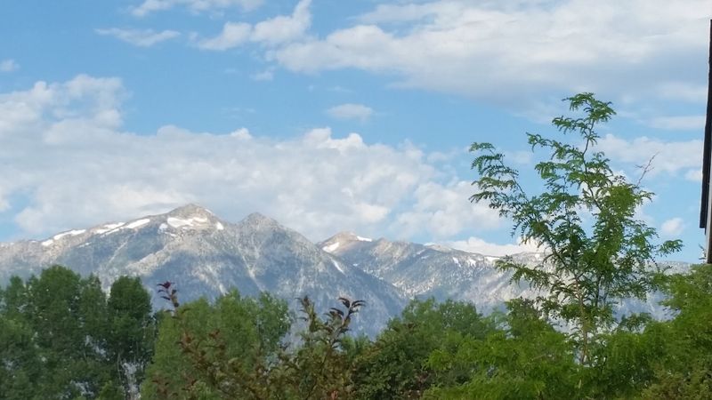 Wildlife Watching in the Carson Valley