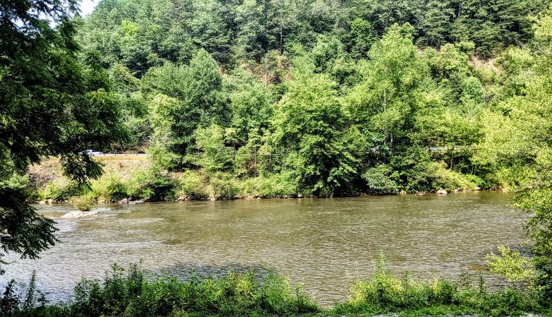 Wildlife Watching in the Smokies