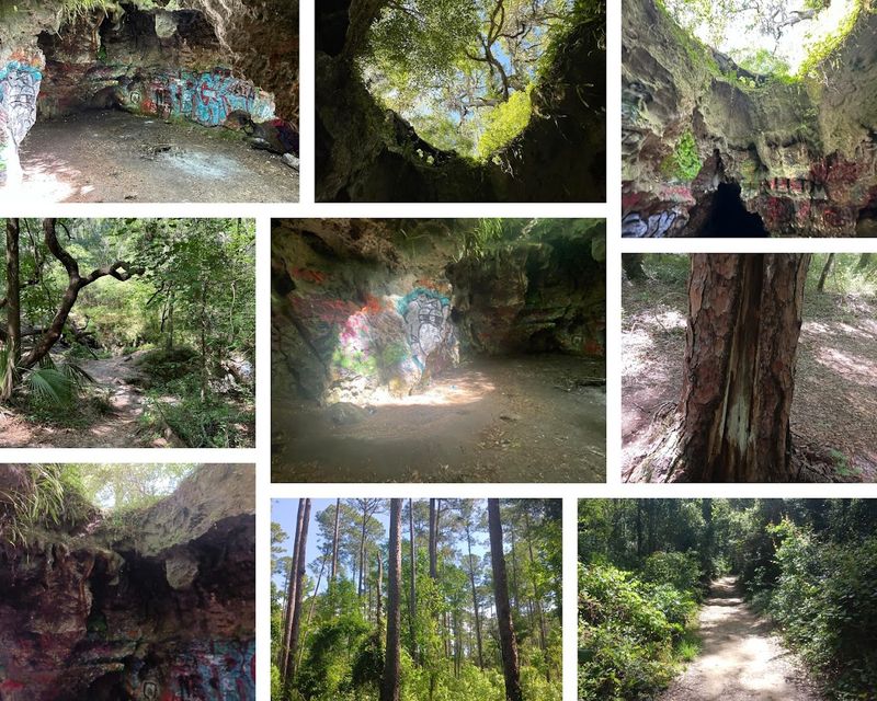 Wildlife You Might Encounter Along the Way