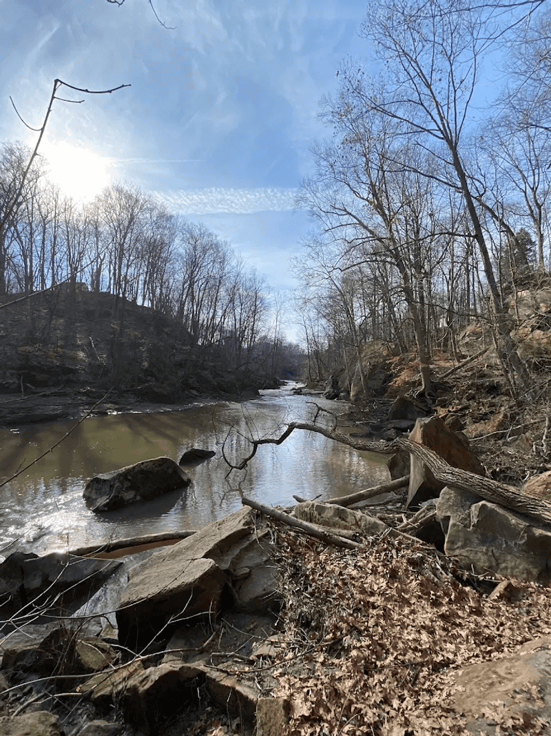Wildlife and Deer Encounters Along the Trails