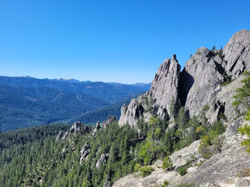 Wildlife and Nature: More Than Just Pretty Views