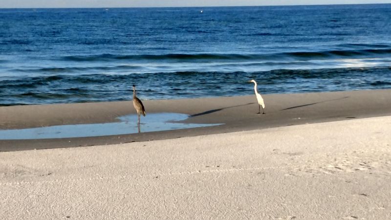 Wildlife and Nature Photography Opportunities Around Every Corner
