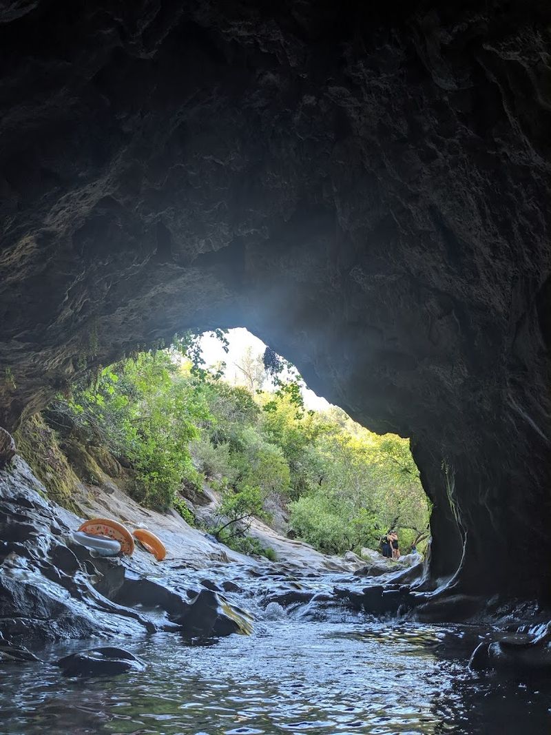 Wildlife and Nature Surprises Along the Way