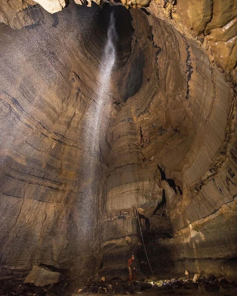 Wildlife and Nature Surrounding the Cave on Pigeon Mountain