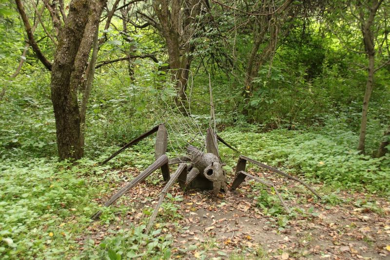 Wildlife and Nature That Share the Space With the Sculptures