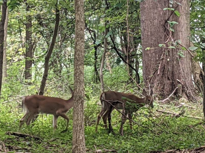 Wildlife and Nature That Surprise Even Frequent Visitors Wildlife and Nature That Surprise Even Frequent Visitors
