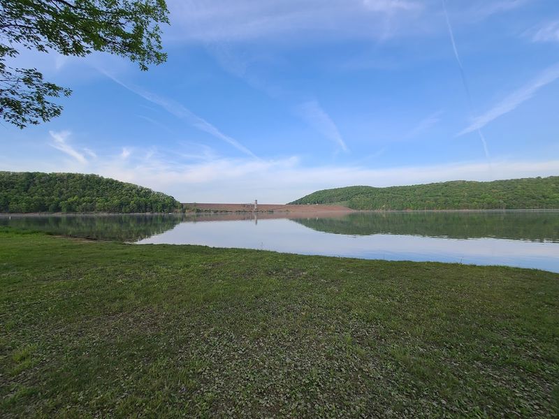 Wildlife and Nature Watching Near Clearfield