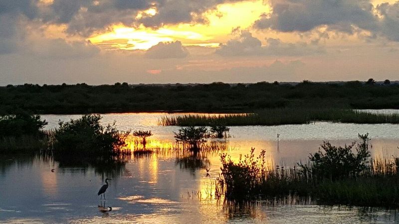 Wildlife and Nature You Might Encounter Wildlife and Nature You Might Encounter