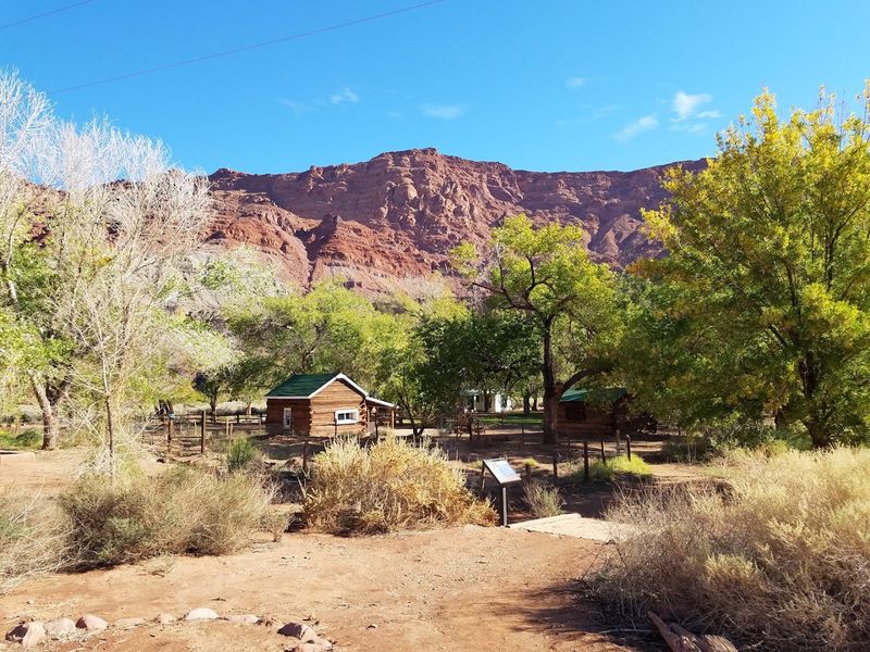 Wildlife and Nature at Lonely Dell Ranch