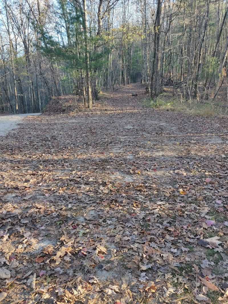 Winding Stairs Road Is a Scenic Destination on Its Own