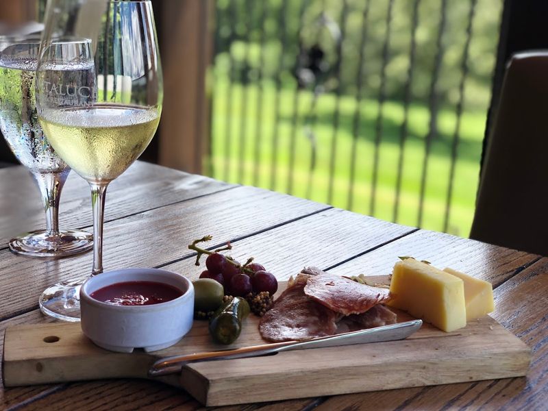 Wine Tastings That Actually Teach You Something
