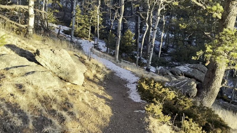 Winter Adventures Including Sledding and Snowshoeing