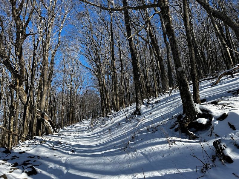 Winter Hiking and Snow Adventures at Elevation