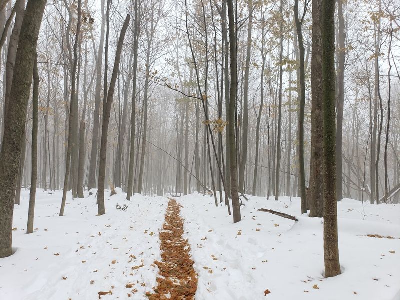 Winter Hiking at Empire Bluff Trail