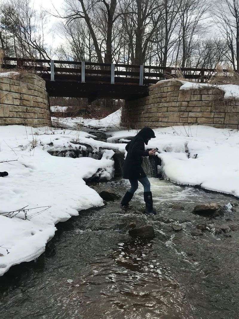 Winter Scenery: A Whole Different Kind of Beautiful